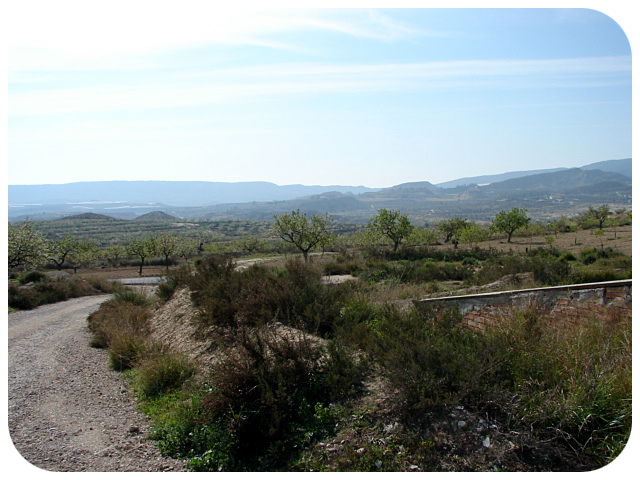 Large Picture - Murcia Finca - Grounds